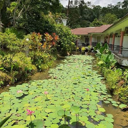 Seri Pengantin Resort Kampung Janda Baik Zewnętrze zdjęcie